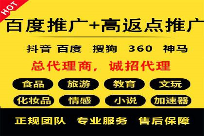 百度竞价代运营公司成功案例揭秘：策略与执行